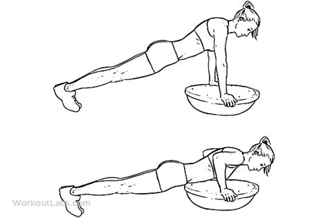 Bosu Ball Push Up Illustrated Exercise Guide Workoutlabs