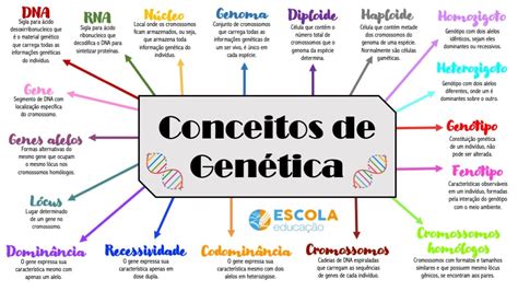 Mapa mental sobre Conceitos básicos em Genética Baixe em PDF grátis