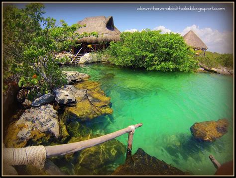 Down the Wrabbit Hole - The Travel Bucket List: Snorkeling Yal-Ku Lagoon in Akumal, Mexico