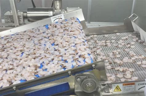 Shrimp Peeling and Deveining | Laitram Machinery