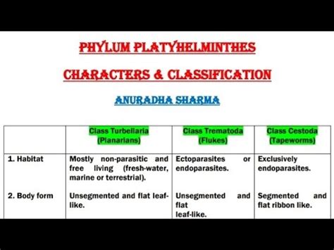Phylum PLATYHELMINTHES (Flatworms) : Features & Classification - YouTube