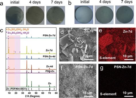 The Corrosion Characterization Of Bare Zn And Znpsn Foils In M Znso