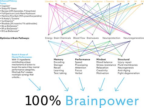 List Of Nootropics 85 Brain Boosters 11 Best In Class 1 Universal