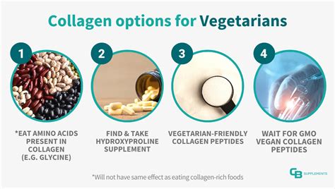 The Collagen Handbook for Vegans & Vegetarians