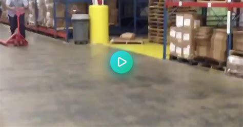 Pallet Truck Ing Album On Imgur