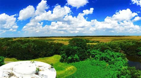 Everglades Trip - An Adventurer's Life for Me