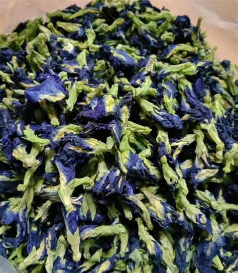 Organic Dried Blue Butterfly Pea Flower G Thai Herbal Etsy