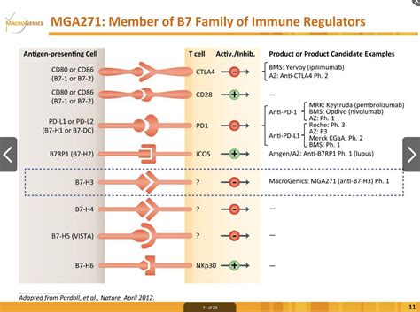 B7 H3 And PD 1 Are All Checkpoint Inhibitors Created Equal NASDAQ