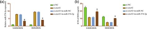 Inhibition Of MiR 574 3p Abrogated The Effect Of Hsa Circ 0010220