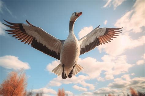 Premium Ai Image A Goose In Flight