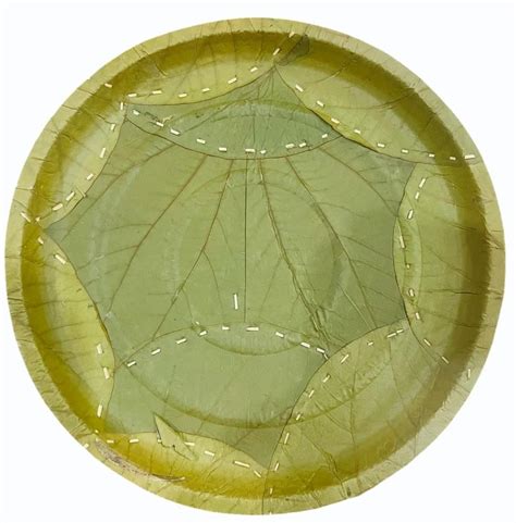 Inch Sal Leaf Plate At Rs Piece Siali Leaf Plate In Jaipur Id