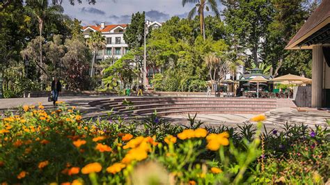 Ruas Do Funchal Visit Madeira Site Oficial Do Turismo Da Madeira