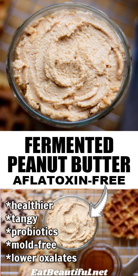 Fermented Peanut Butter Recipe Peanut Butter Without Aflatoxins Eat Beautiful