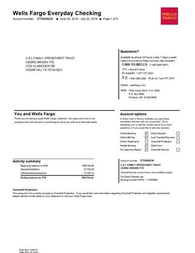 Checking Account Statement Template Excel Templates