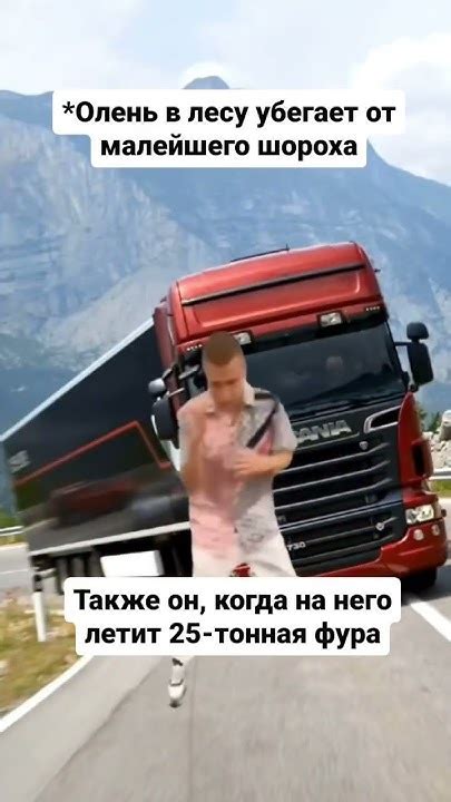 Олень когда на него летит фура - YouTube