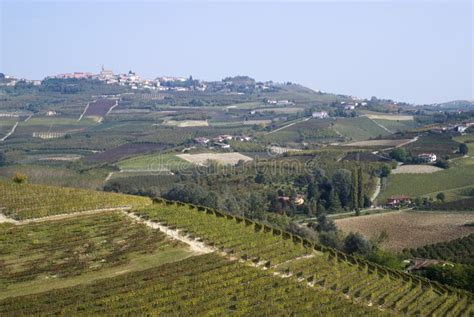 The Vineyards Landscape of the Langhe Hills Stock Image - Image of ...