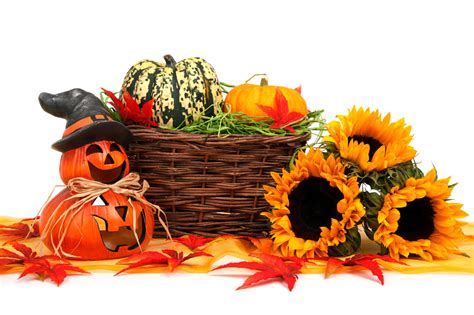 halloween harvest decoration  stock photo public domain pictures