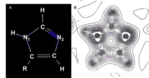 A The Structure Of The Imidazole Group Of Histidine And B Its Download Scientific Diagram