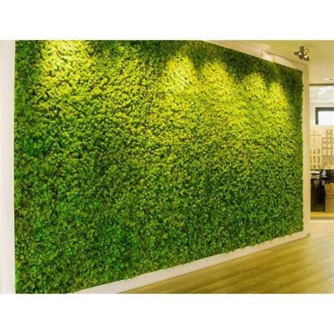 Plastic Artificial Green Grass Wall For Decoration Rs 100 Square