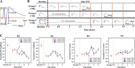 Illustration Of SSEP Related Parameters And Experimental Results The