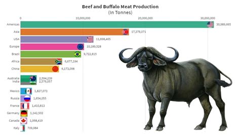 Top 15 Beef And Buffalo Meat Producing Countries In The World Youtube