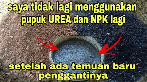 Saya Tidak Beli Pupuk Urea Dan Npk Lagi Setelah Temuan Baru