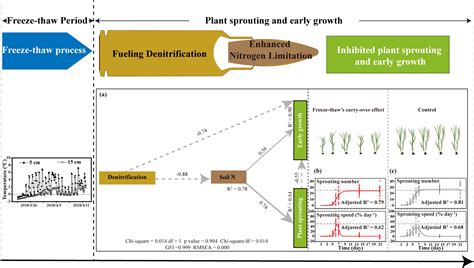 Freeze-thaw cycles alter the growth sprouting strategy of wetland