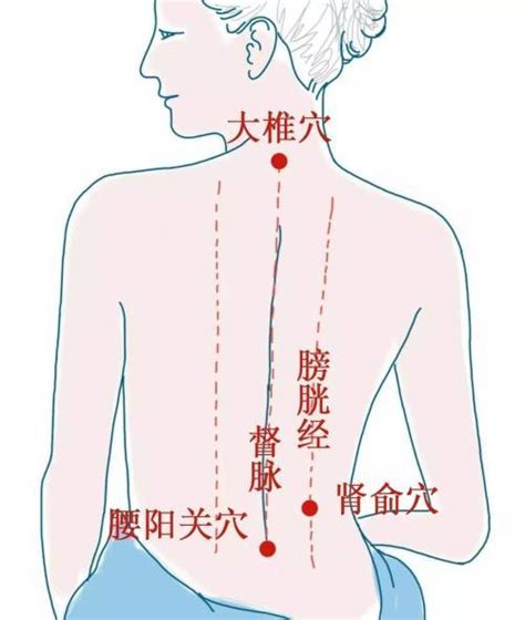 腿部6条经络图解大图 这样做打通腿部经络 艾灸穴位 艾灸TOP网