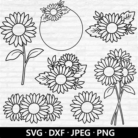 Sunflower Outline Svg Sunflower Svg Bundle Sunflower Bouquet Vector Sunflower Clipart