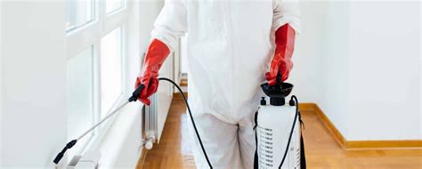 Pest Control Wallpapers Top Free Pest Control Backgrounds