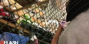 Bulge Watcher Indian Girl Porn Videos