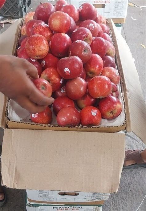 Himachali A Grade Royal Gala Apple Packaging Size 10 Kg Packaging