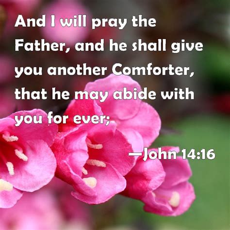 John 14 16 And I Will Pray The Father And He Shall Give You Another