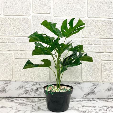 Jual Pohon Hias Daun Monstera X Semi Latex Artificial Pot Dasar Hitam