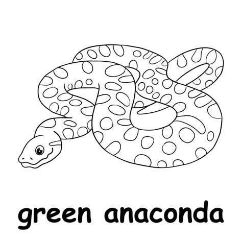 Anaconda Drawing