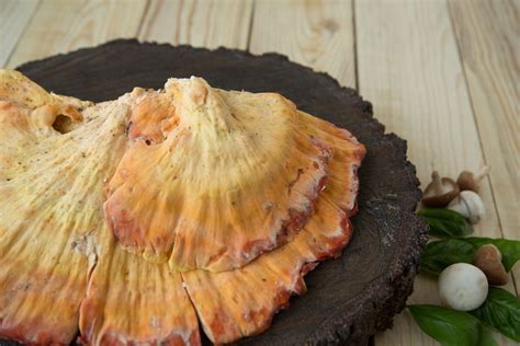 Chicken Of The Woods Mushroom Recipes Adamant Kitchen