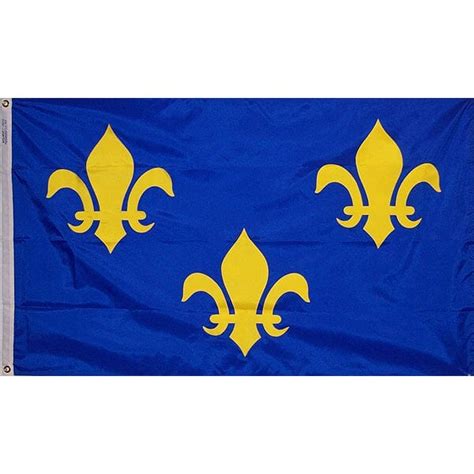 French Fleur-de-lis flag - Liberty Flag & Specialty