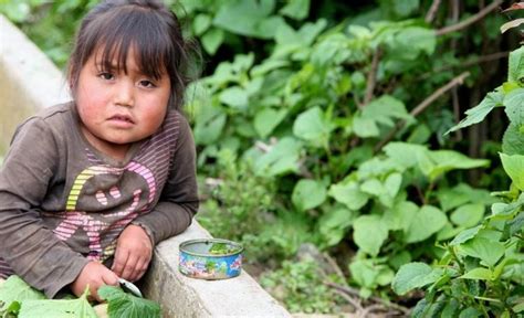 Unicef Alerta Al Mundo Por La Cantidad De Muertes Infantiles Evitables Por Desnutrición El