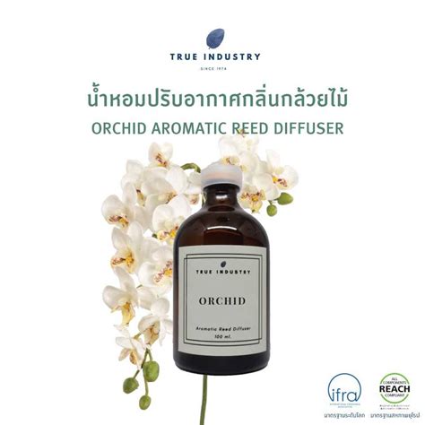 น้ำมันหอมระเหย ทีทรี สำหรับปรับอากาศ Tea Tree Essential Oil Reed