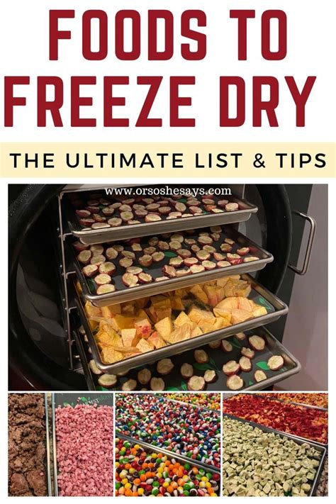 Freeze Dryer Foods: The Ultimate List