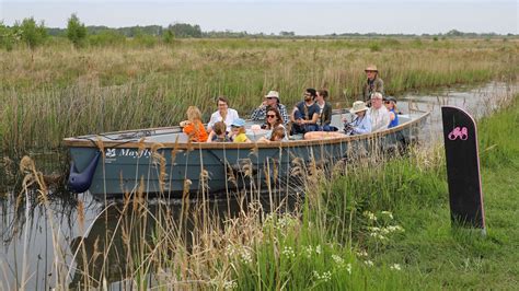 days   kids wicken fen cambs national trust
