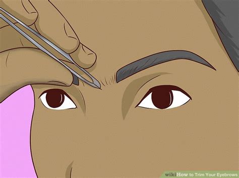 3 Ways To Trim Your Eyebrows Wikihow