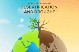 World Desertification Day: Rising up from drought together in Kenya ...