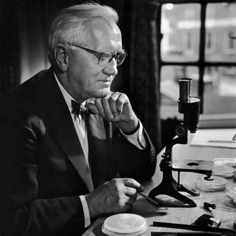 Alexander Fleming Meer