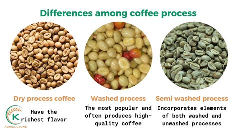 Semi washed coffee - Unique processing method makes unique flavors