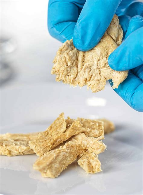 Product development - Future Food Group