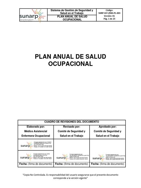 Plan Anual De Salud Ocupacional 2024 Descargar Gratis Pdf Seguridad Y Salud Ocupacional La