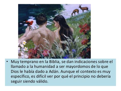 8 El Cuidado De La Creacion