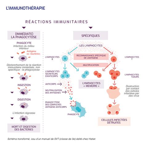 L immunothérapie Leem