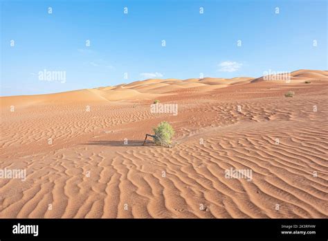 Arabian Peninsula Desert Drought Hi Res Stock Photography And Images